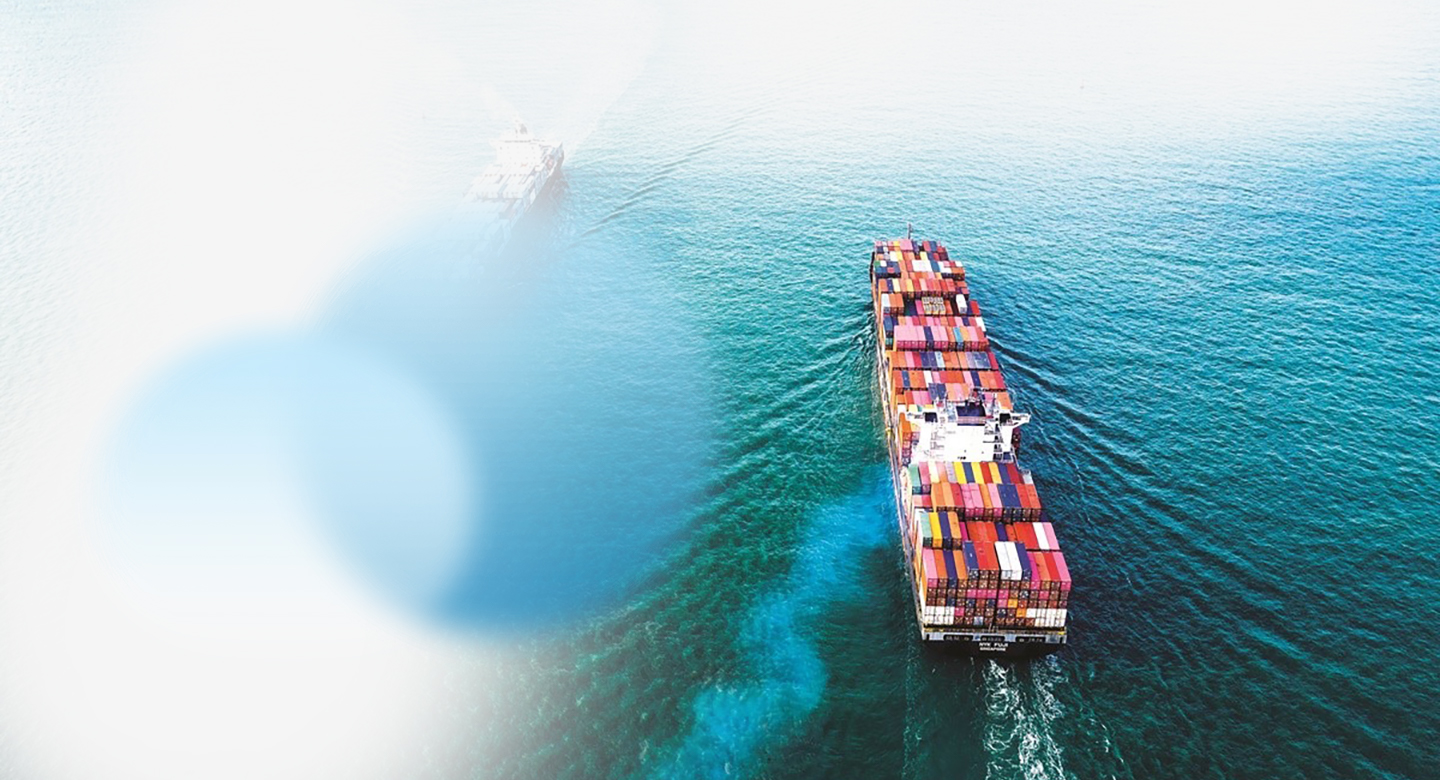 Special cargo, dangerous goods and out-of-gauge transport
